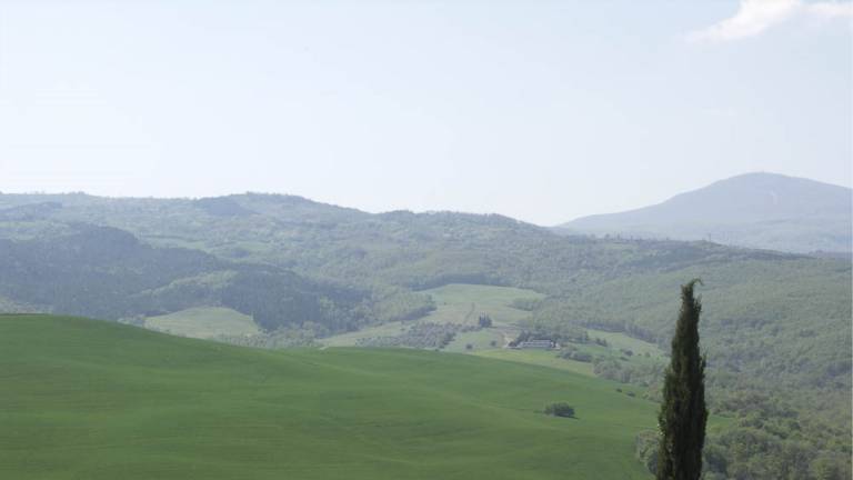 Independent residence with 4 apartaments and pool in val d'Orcia — photo 3