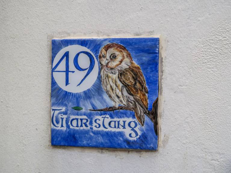 foto25