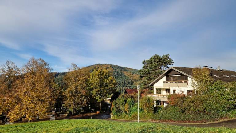 Ferienwohnung Seelbach
