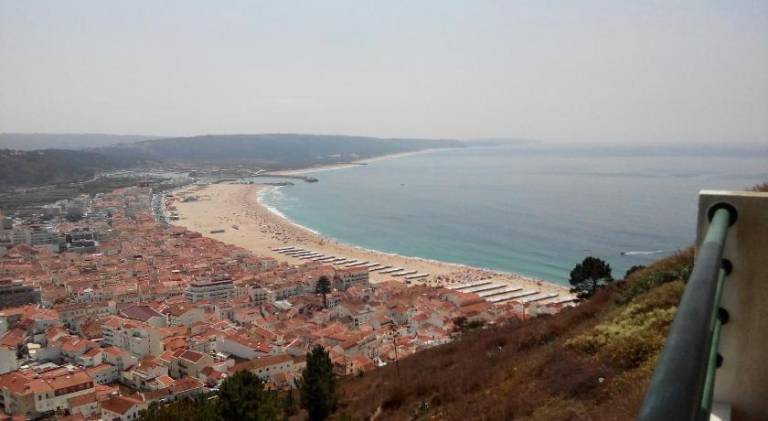 Fully equipped vacation home with terrace & BBQ | Close to the beach | Perfect for remote work | Pet-friendly in Leiria