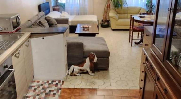 Rental apartment | Near Piazza De Ferrari — photo 5