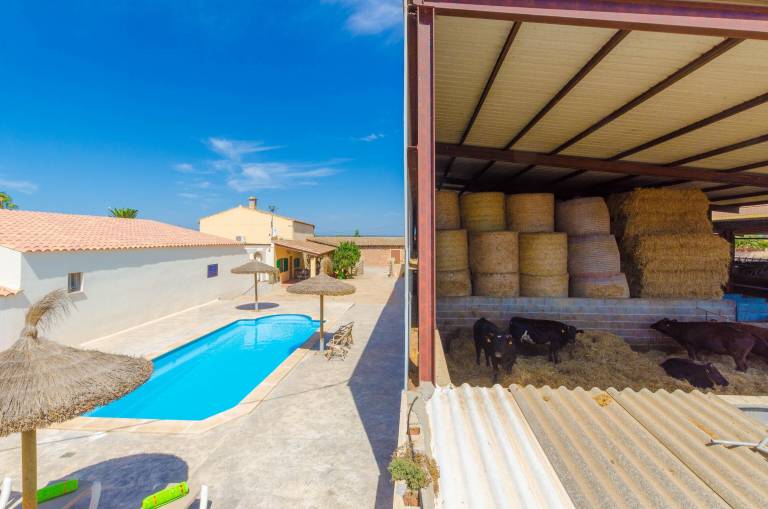 Maison de vacances Campos