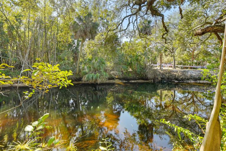 Tropical Vibes! Riverfront Bonita Springs Hideaway — photo 4