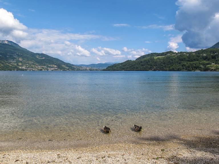 foto42