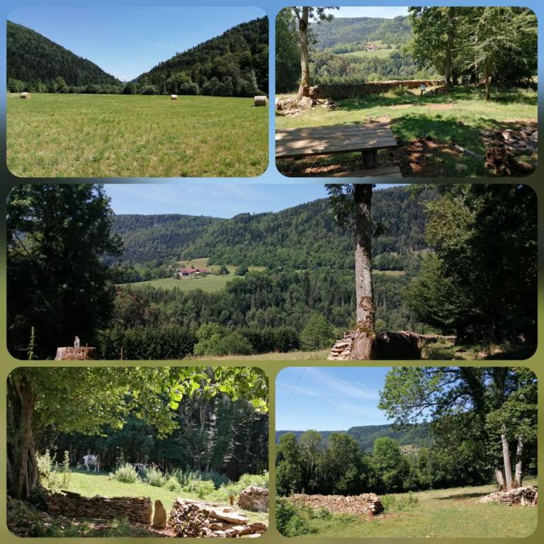 foto10