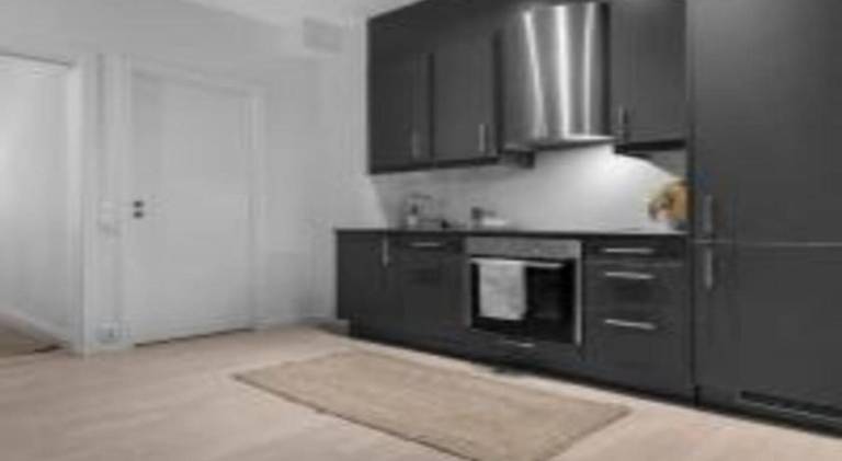 Holiday apartment | Near Vigeland Museum — photo 4