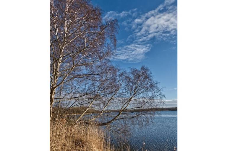 foto19