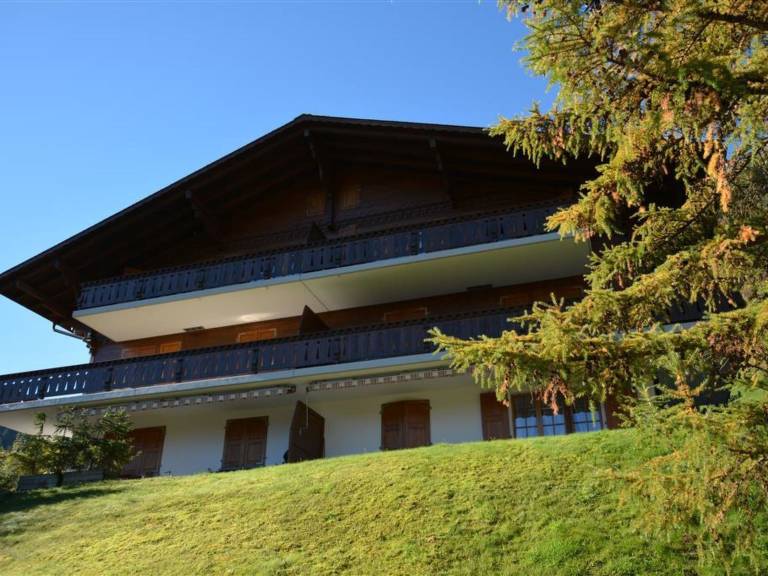 Ferienwohnung Schönried