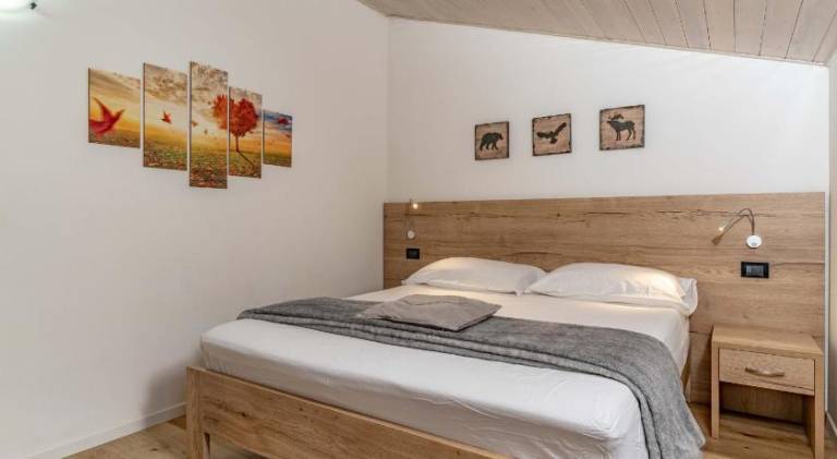 Nice holiday apartment | Pets are welcome — photo 2