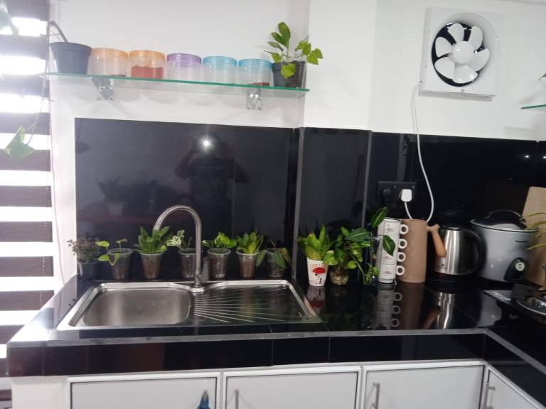 foto26