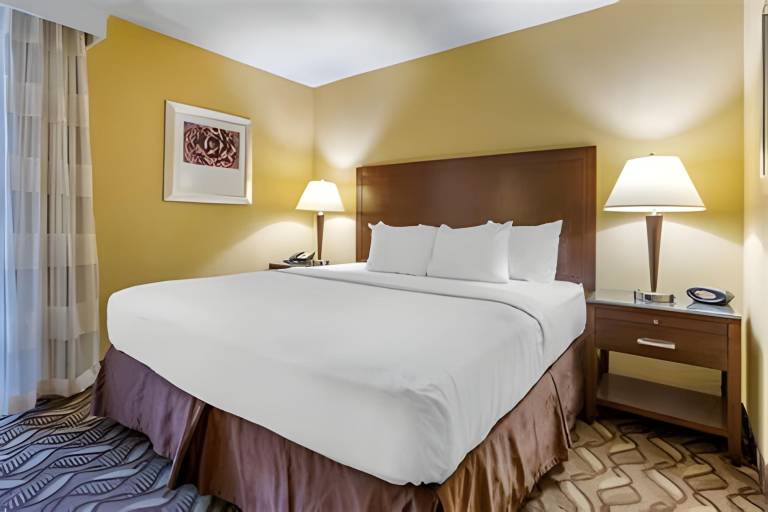 Clarion Inn & Suites Roswell in Roswell, NM
