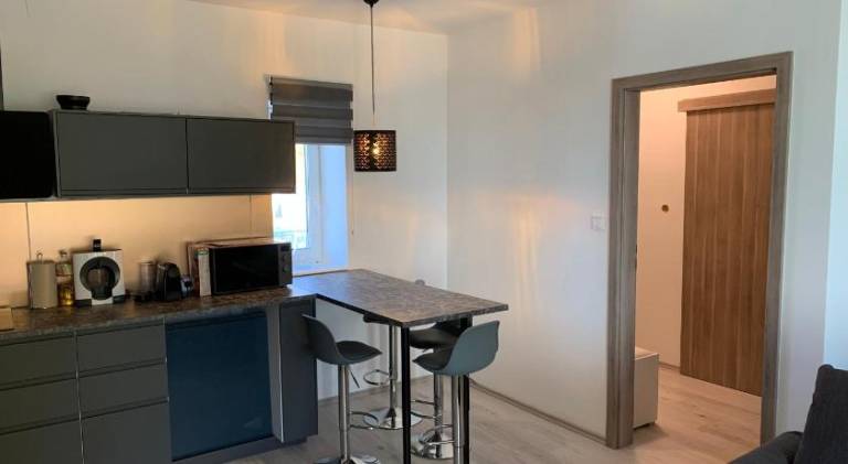 Rental apartment | Dogs allowed — photo 4