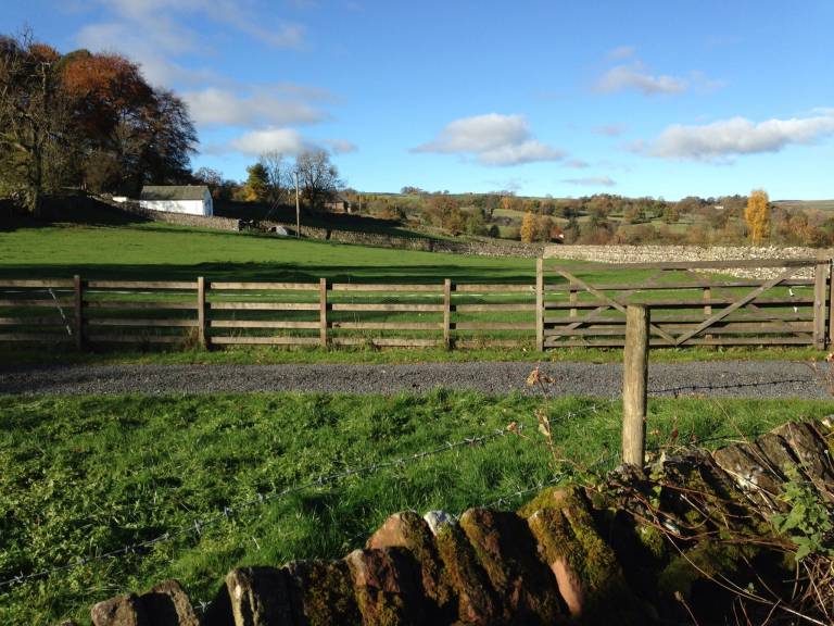 Cottage Shap