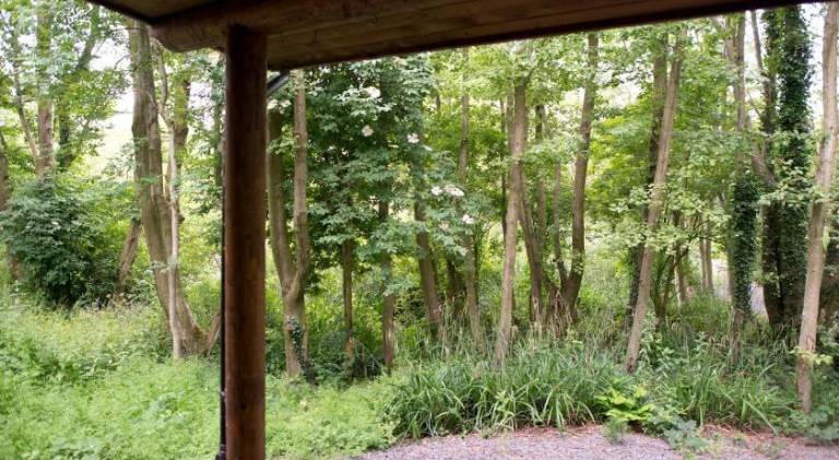 Lodge with patio & garden — photo 5