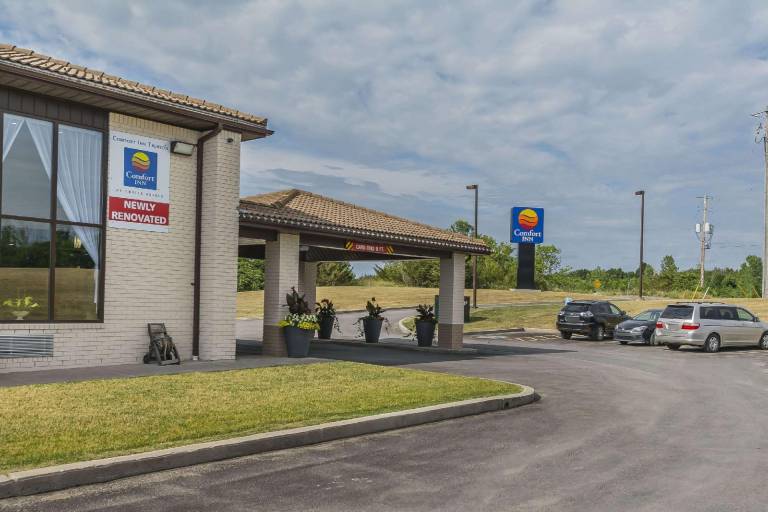 Comfort Inn — photo 4