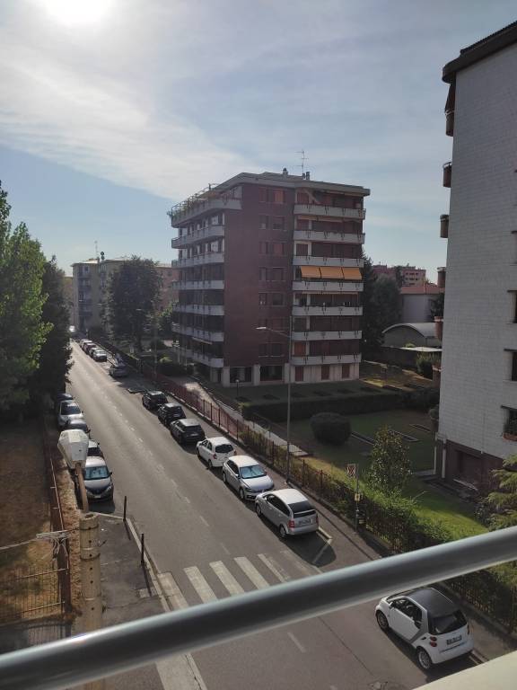 foto11