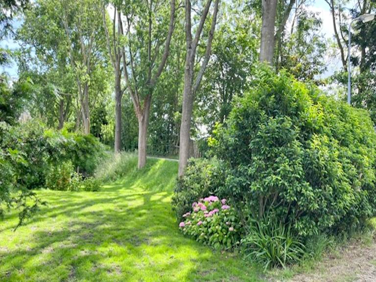 foto28