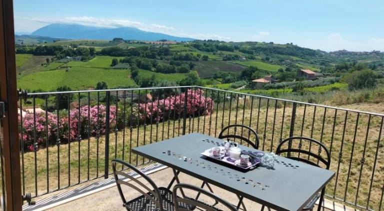 Tenuta Ornella — photo 5