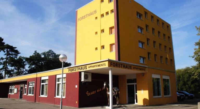foto9