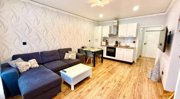 Rental apartment with 1 room for 5 persons in Metz