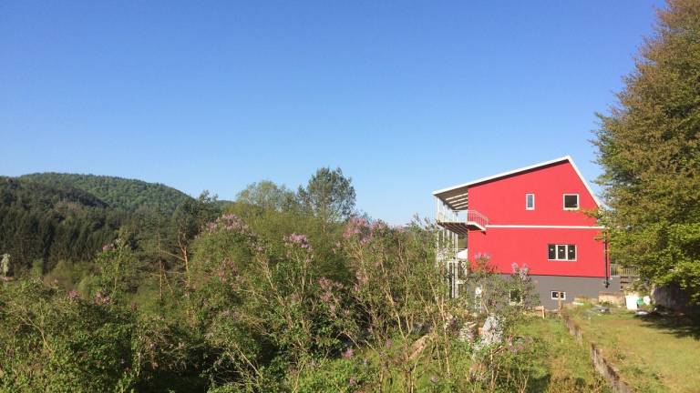 Ferienwohnung Hinterweidenthal