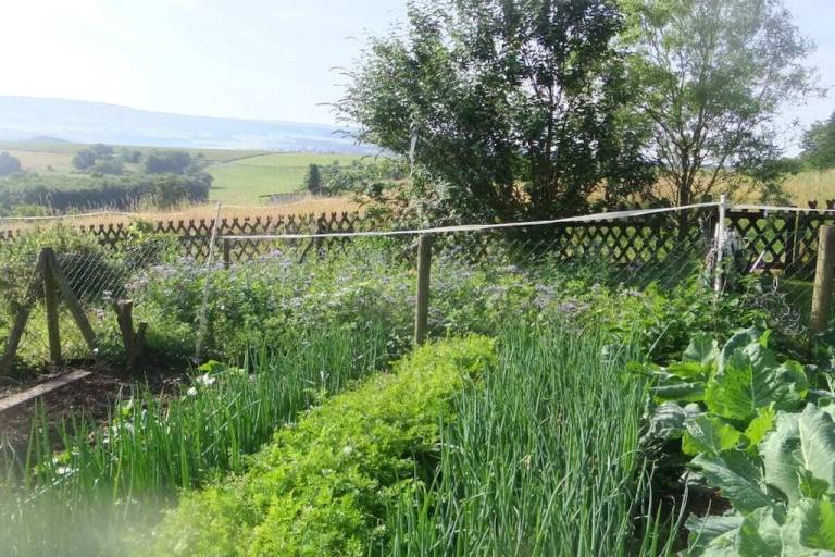 House with garden & BBQ — photo 5