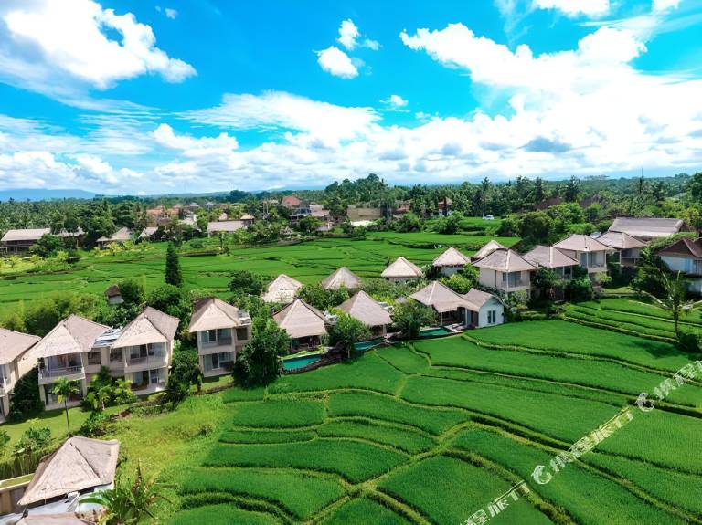 Mesari Hotel Ubud — photo 5