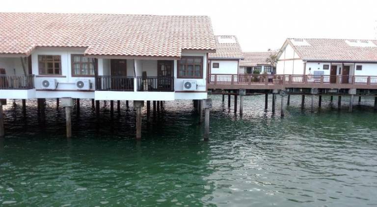 foto2
