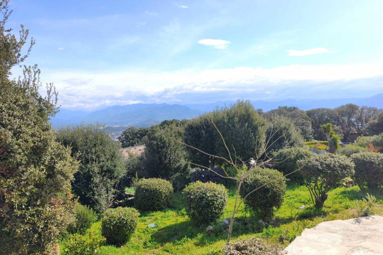 House Ajaccio