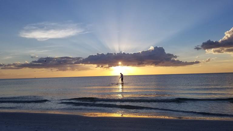 Apartment  Belleair Shore