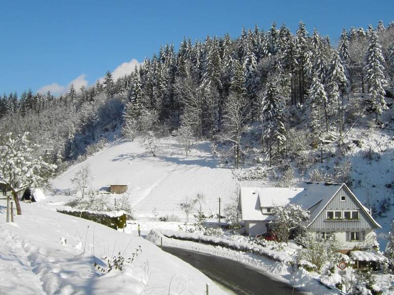 Ferienhaus  Oppenau