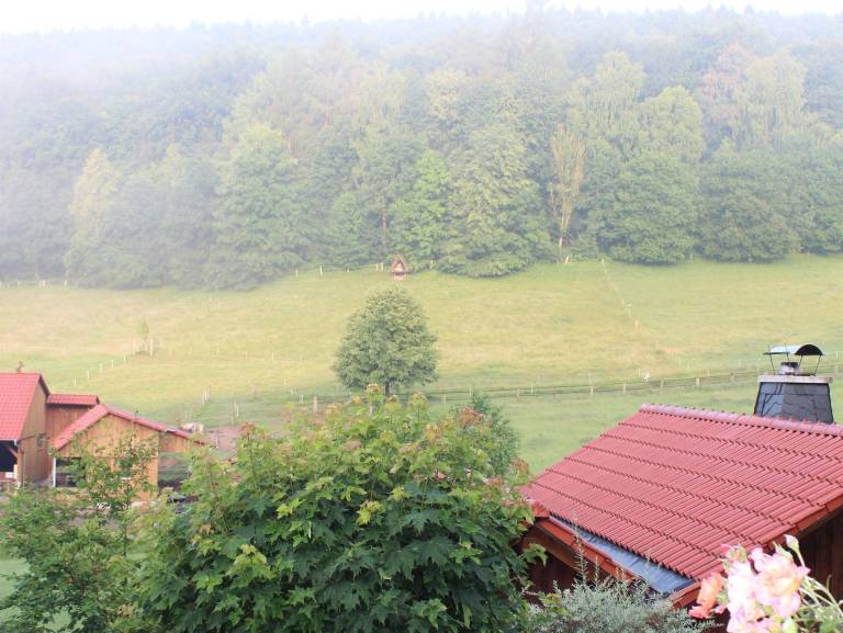 Ferienhaus  Solling