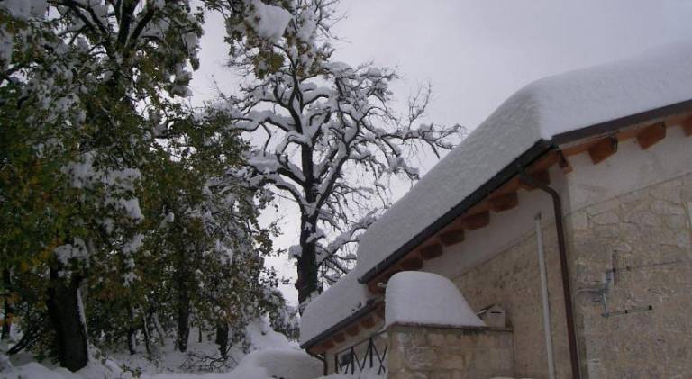 foto47