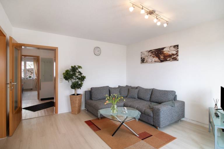 Quiet Apartment in Bad Saulgau with Mountain View, Private Terrace and Wi-Fi — photo 2