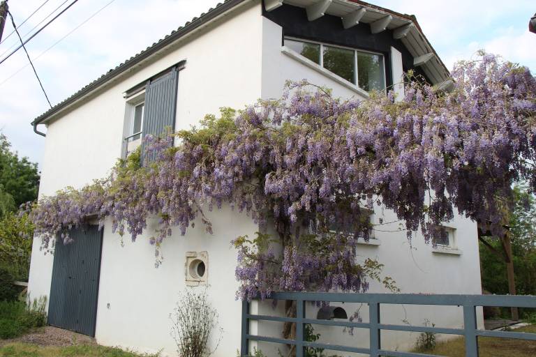 Maison de vacances Damvix