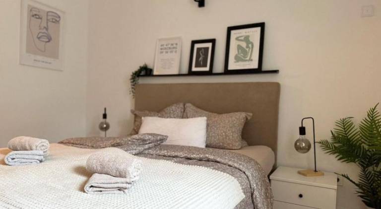 Pleasant rental apartment | Next to Würzburg Residence | Dogs allowed in Würzburg