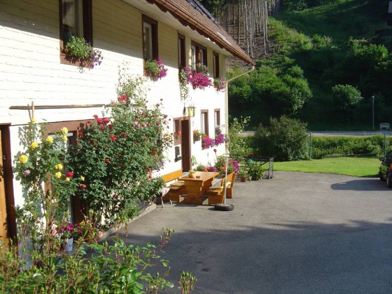 foto12