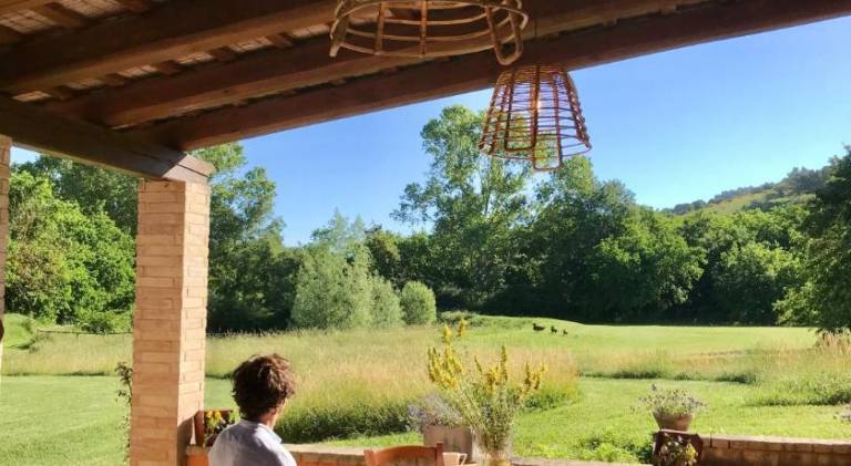 Farm with garden — photo 5