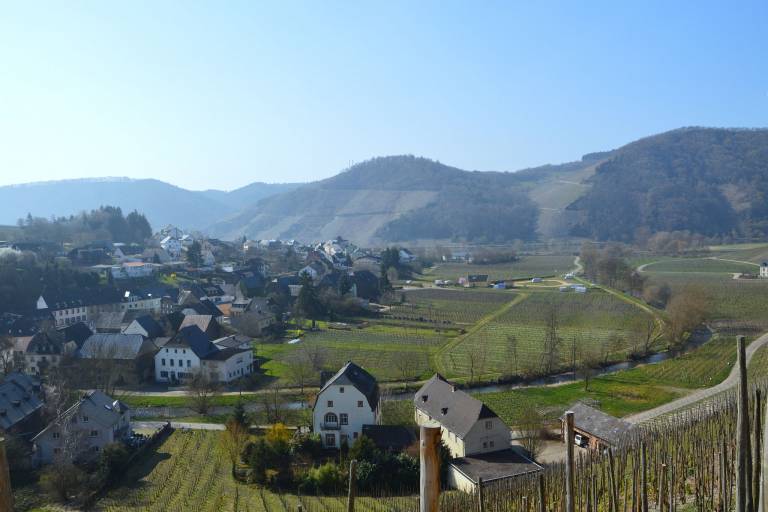 foto31