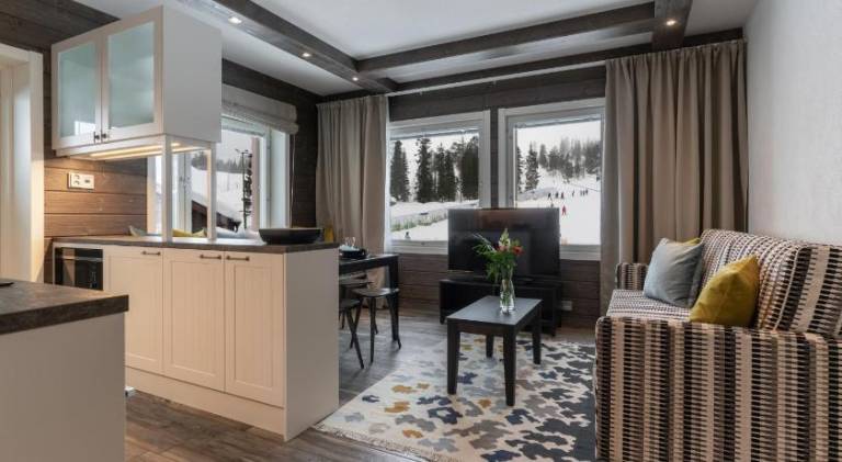 Wonderful serviced apartment with sauna & patio | Close to the ski | Pets are welcome — photo 2