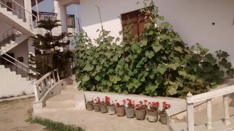 foto12