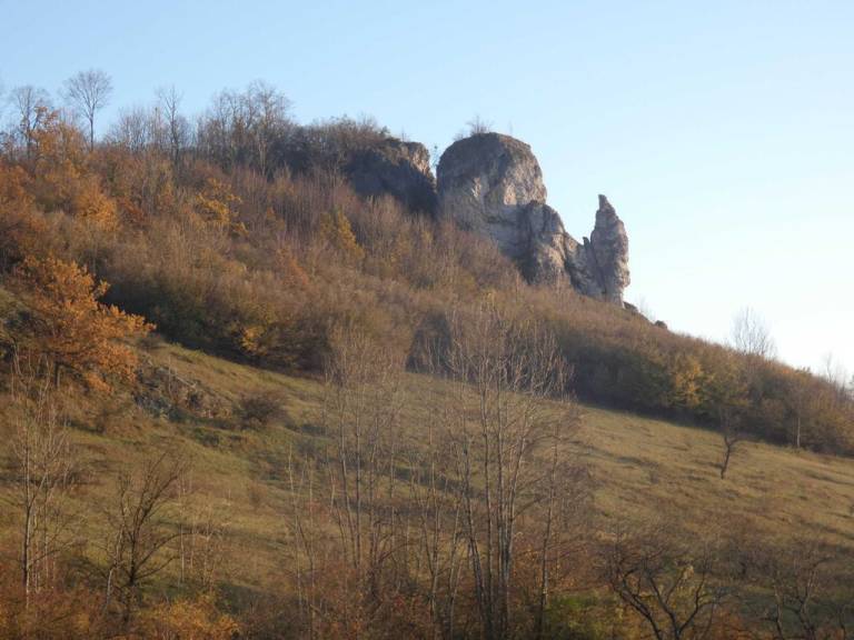 foto7