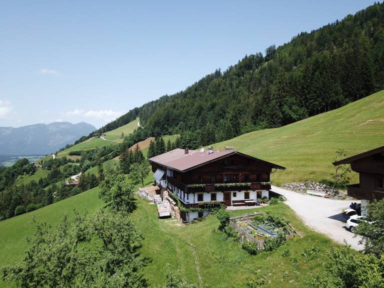 foto1