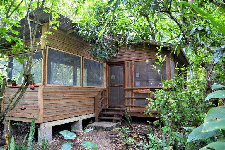 Cabin San Ignacio