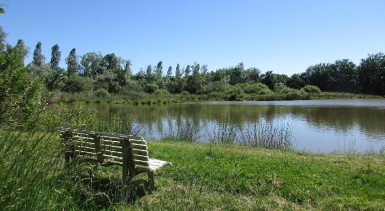 Espace Nature Studio independant proche du Parc des oiseaux