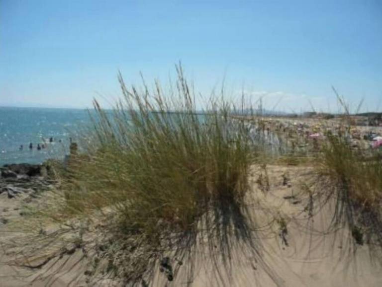 Huis Narbonne Plage