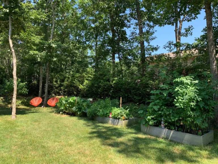 foto26