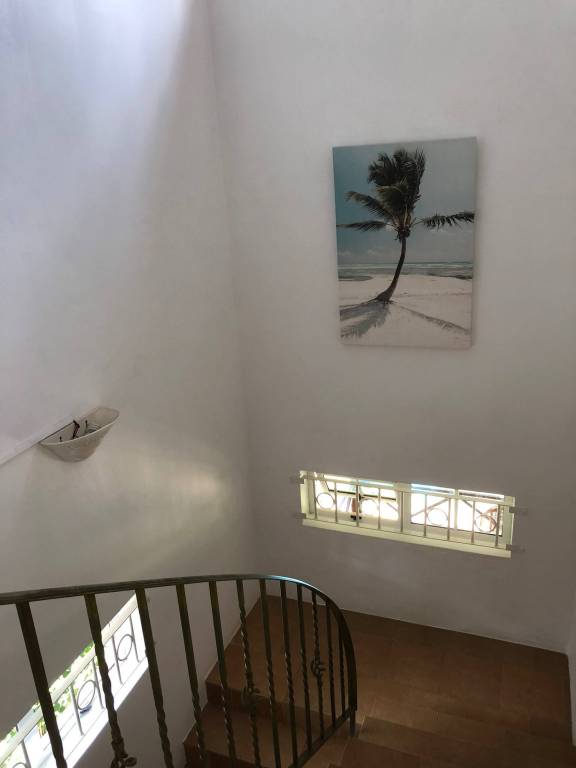 foto23