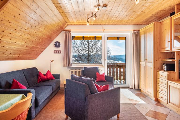 Appartement Titisee-Neustadt