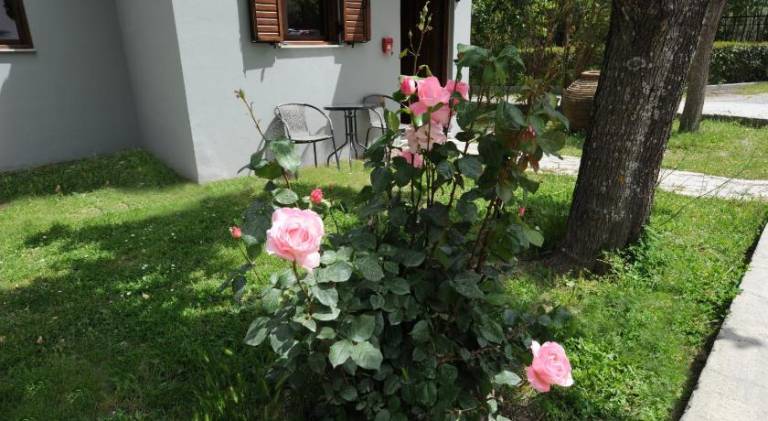 foto22